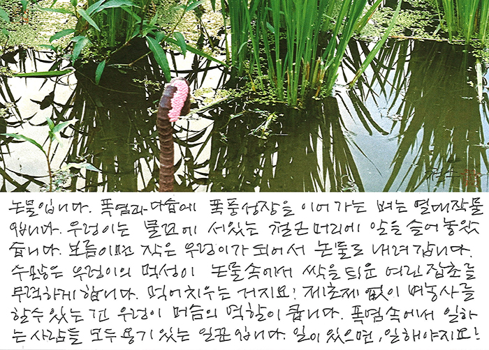 - 일이 있으면, 일 해야지요!