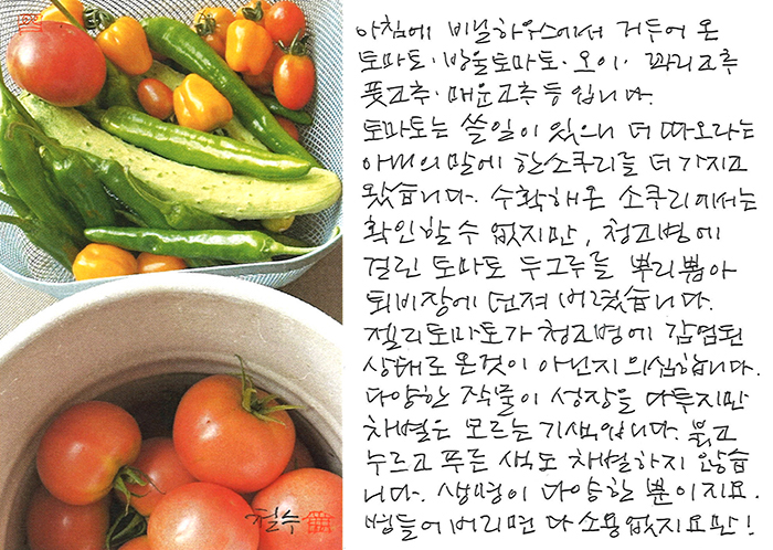- 병들면 다 소용없지요만...