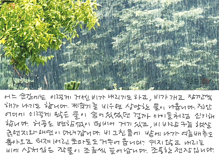 - 비 젖은 밭은 조용한 전장...