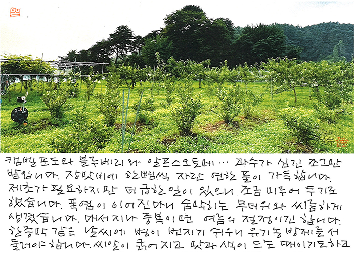 - 대서 지나 중복이면...