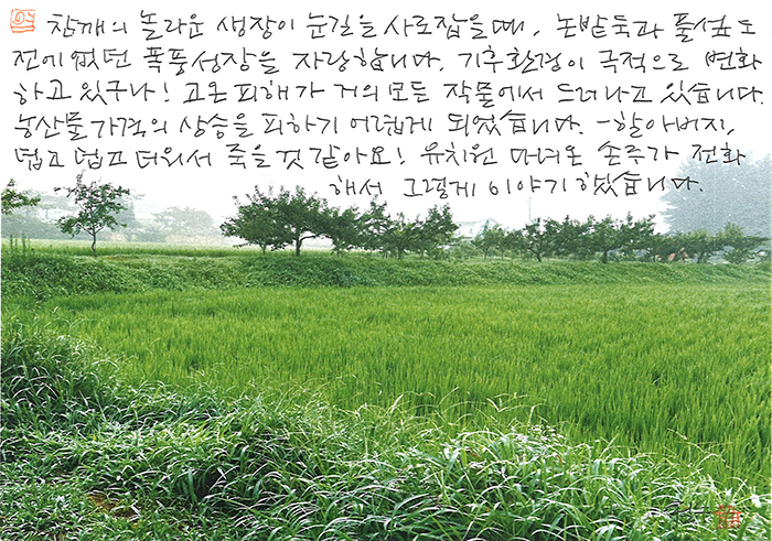 - 할아버지, 덥고 덥고 더워서...