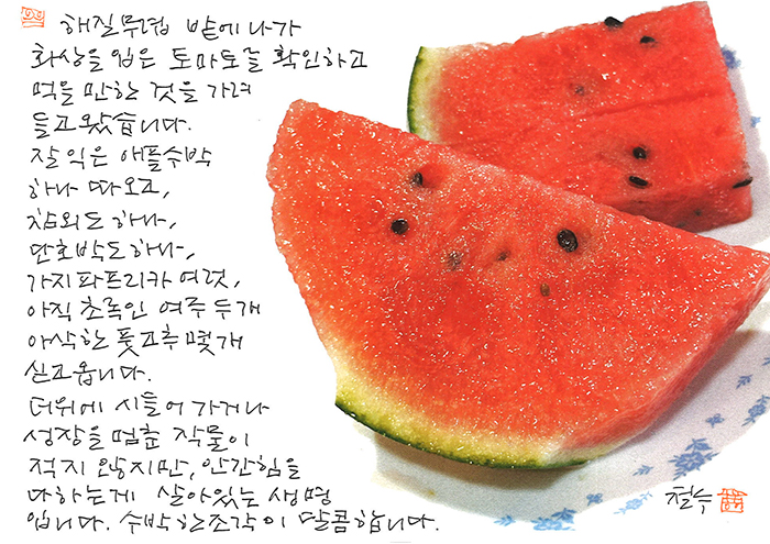 - 잘 익은 애플수박 하나 따오고...