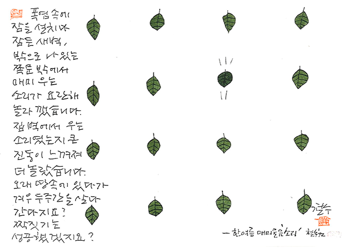 - 매미 우는 소리가 요란해...