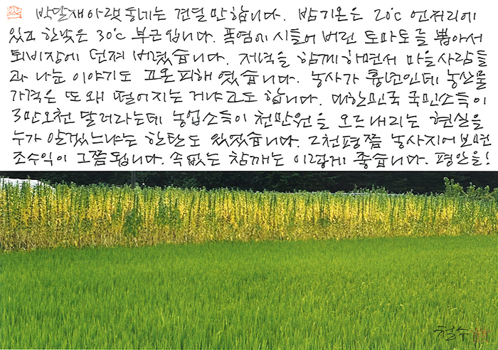 - 농업소득이 천 만원을 오르내리는...