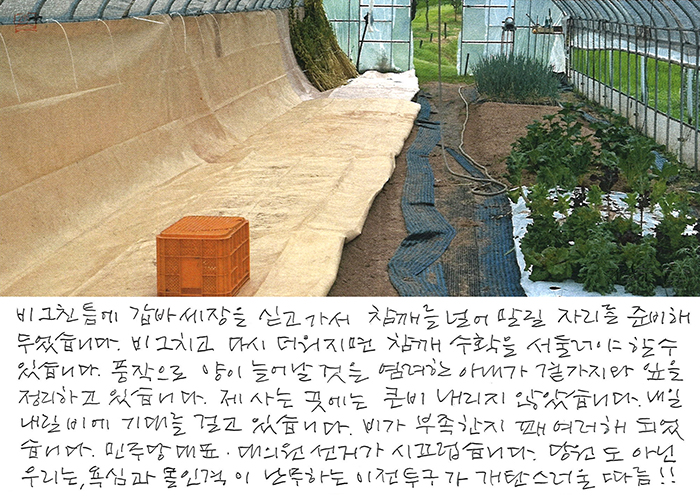 - 비 그친 틈에  갑바 세 장을...