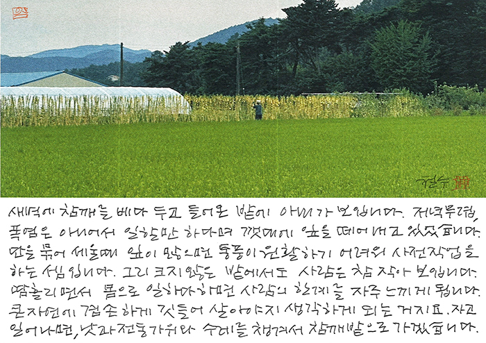 - 큰 자연에 겸손하게 깃들어...