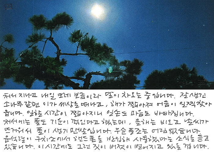 - 이 순간에도 그런 짓이...
