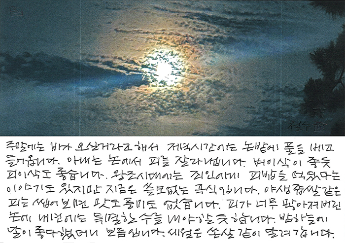 - 밤 하늘에 달이 좋다 했더니...