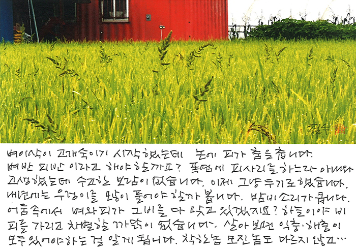 -  착한 놈 모진 놈도 ...