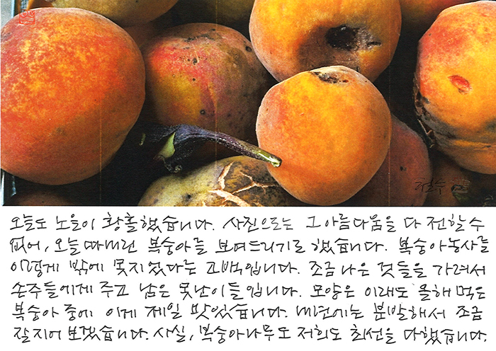 - 모양은 이래도...