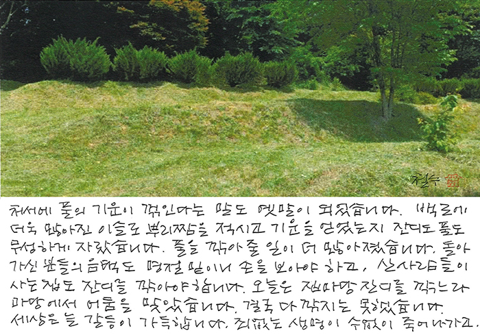- 처서도 옛말, 음택에 ...