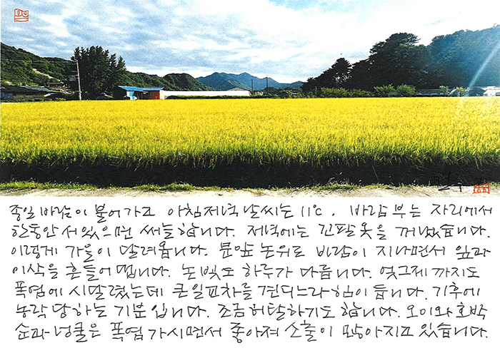 - 논빛도 하루가 다릅니다.