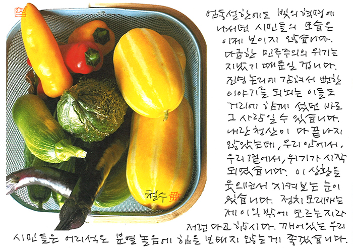 - 어리석은 분열 놀음에...