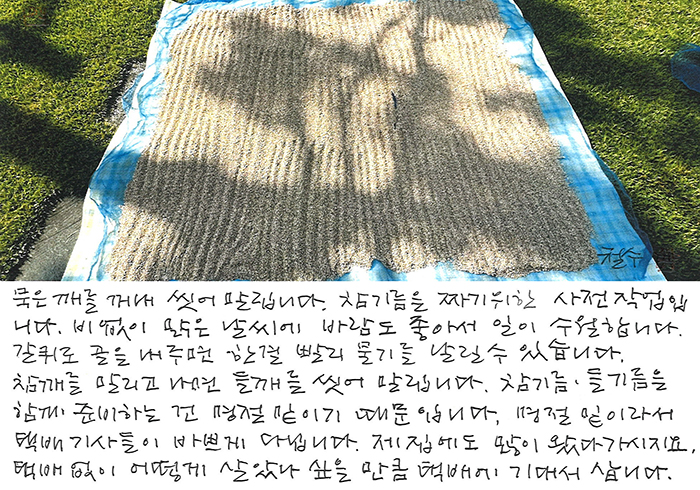 - 명절 밑이라서...