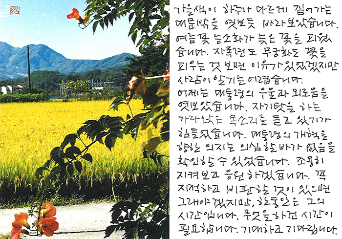 - 지켜보고 응원하겠습니다.