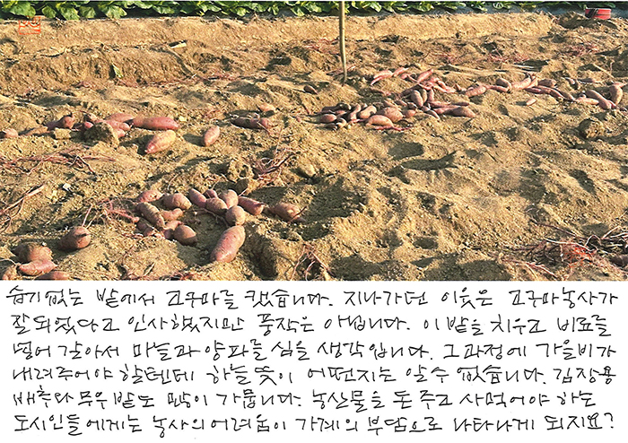 - 습기 없는 밭에서 ...