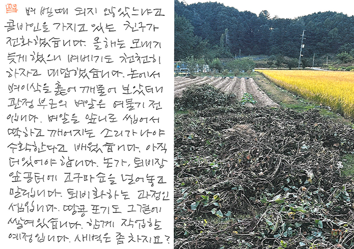 - 새벽은 좀 차지요?