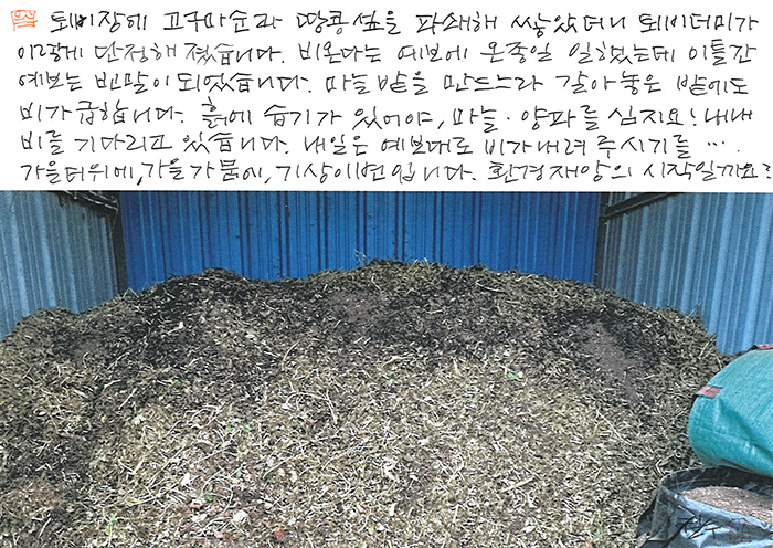 - 비가 내려 주시기를...