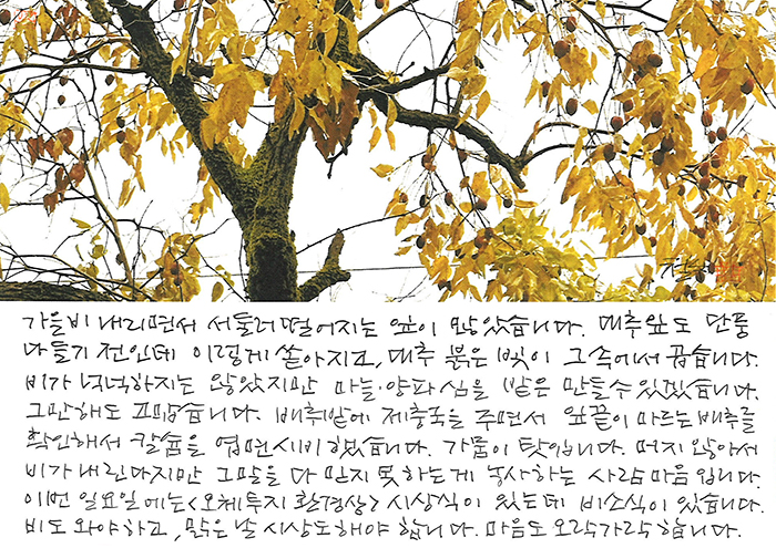 - 마음도 오락가락...