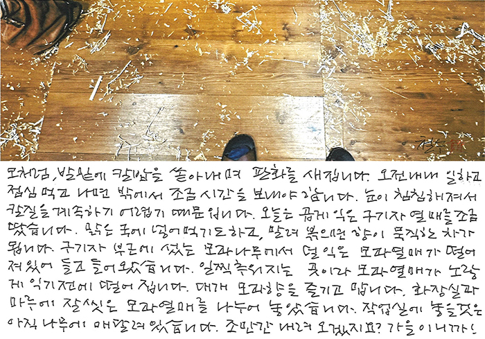 - 가을이니까!