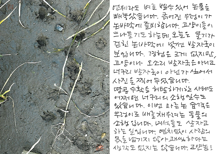 - 고얀놈!