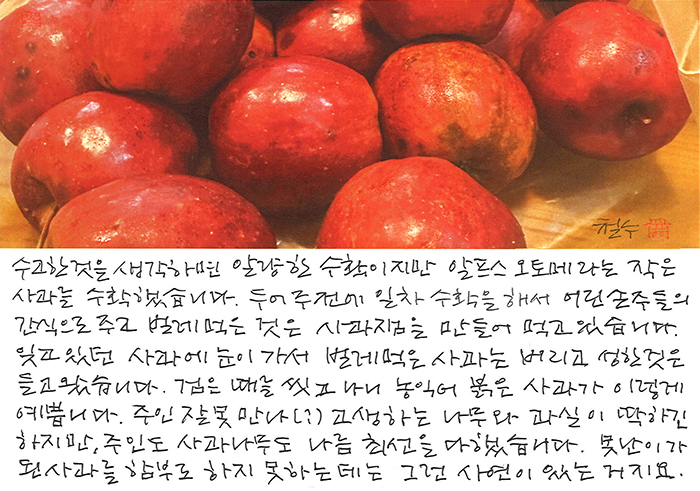 - 못난이가 된 사과를...