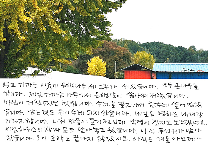 - 아직은 겨울 아닌데...