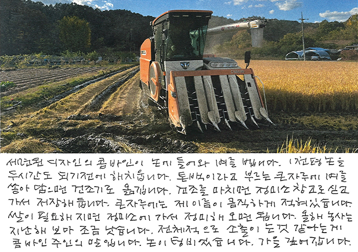 - 논이 텅 비었습니다.