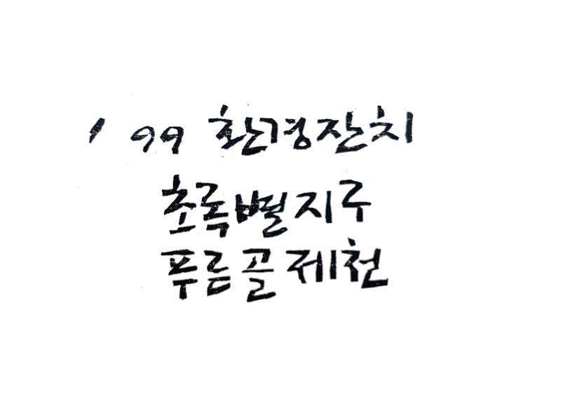 99 환경잔치