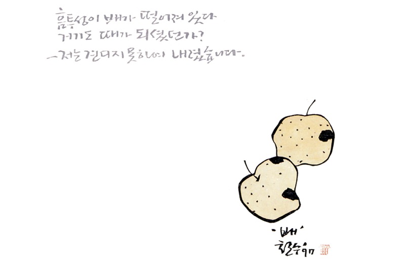 배
