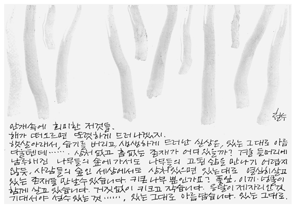 20071122