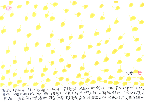 20081104