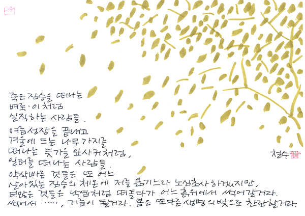 20081116