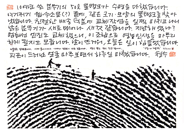 20200531